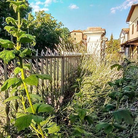 Villa Elvira Ambra Exterior foto