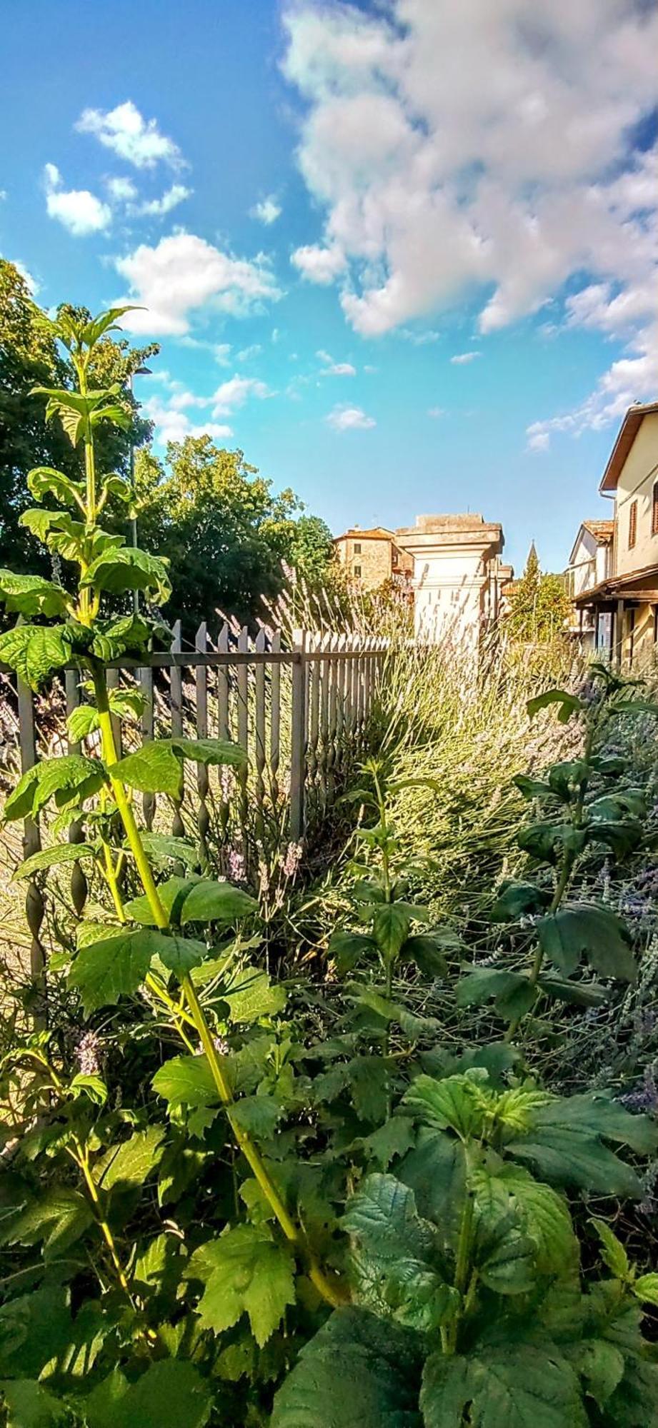 Villa Elvira Ambra Exterior foto